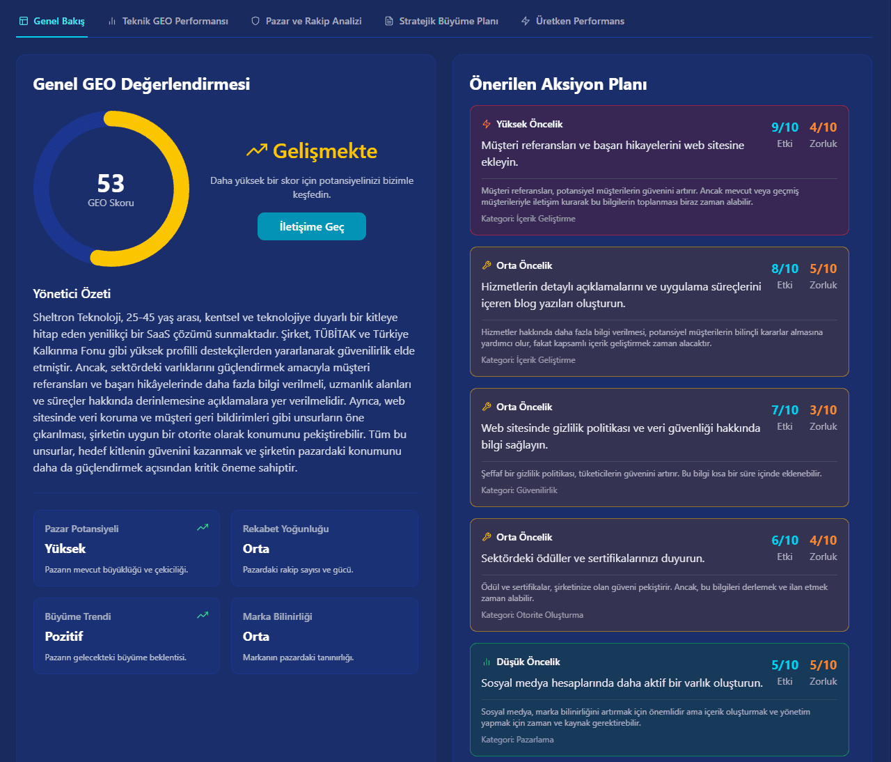 AI SEO Optimizer rapor örneği